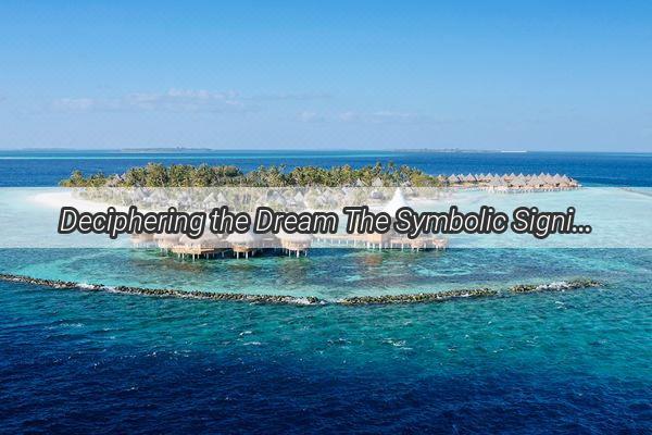 Deciphering the Dream The Symbolic Significance of Buying Fish in Your Dreams